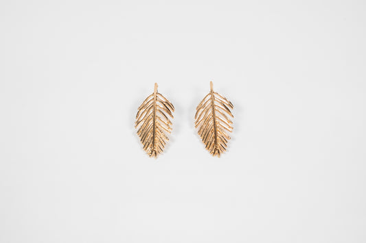 Aretes Silvia
